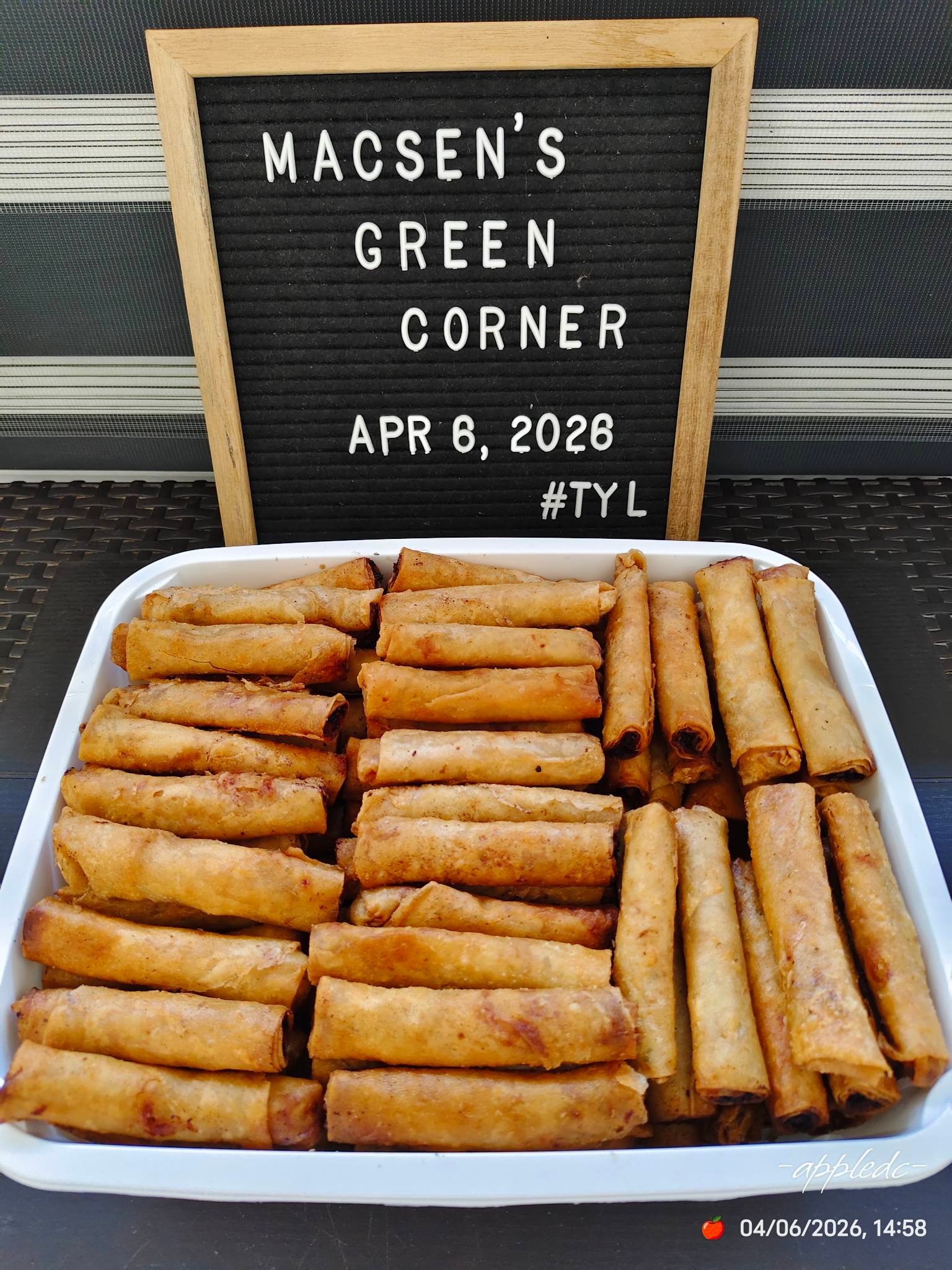 LUMPIANG SHANGHAI PARTY TRAY - Image 1