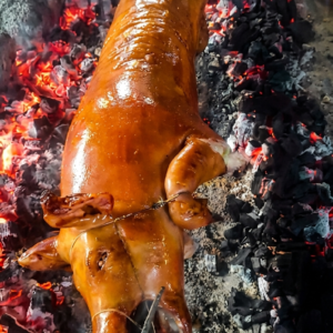 A whole native pig, expertly roasted to a deep, glossy golden-brown.