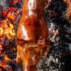 A whole native pig, expertly roasted to a deep, glossy golden-brown.
